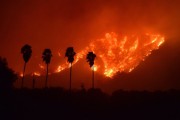 켈리포니아 산불.jpg