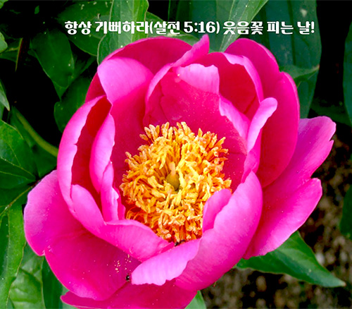 항상 기뻐하라01.jpg