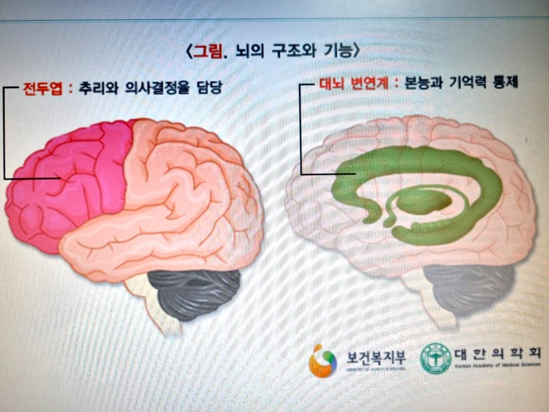 치매원인과 예방1.jpg