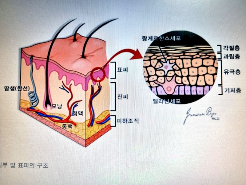 지미카터 잠들다 천국환송예배6.jpg