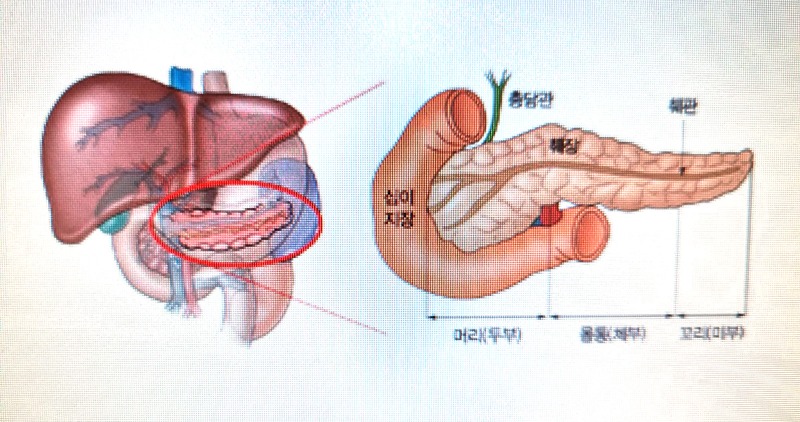 박명윤2.jpg